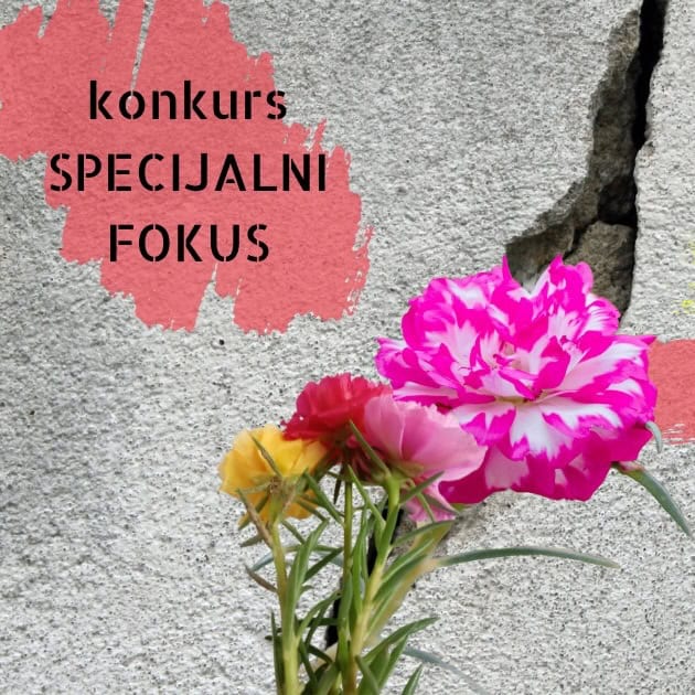 Konkurs Specijalni fokus: KONSULTACIJE!